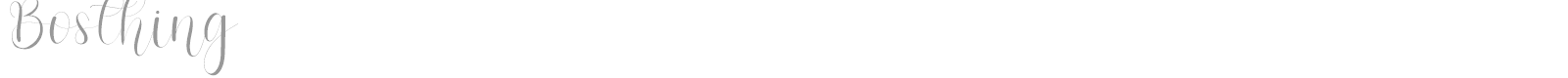 Bosthing font preview