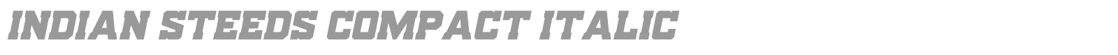 Indian Steeds font preview