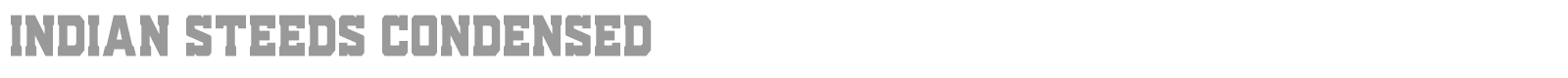 Indian Steeds font preview