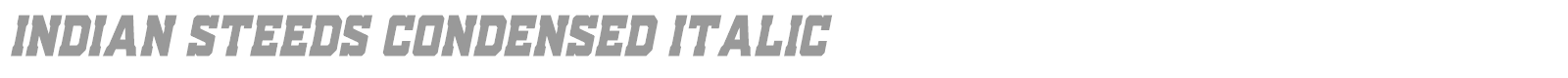 Indian Steeds font preview