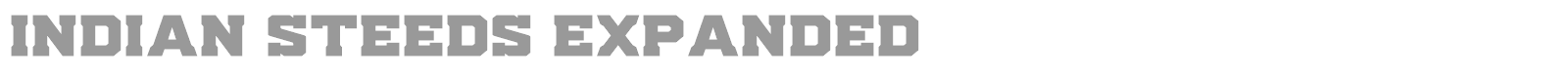 Indian Steeds font preview