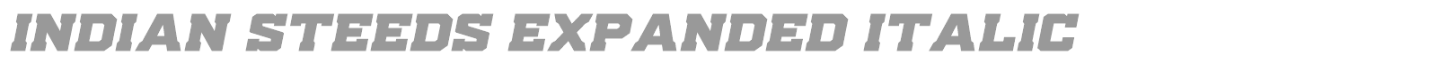 Indian Steeds font preview