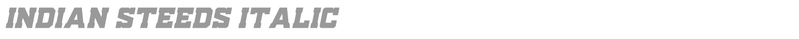 Indian Steeds font preview