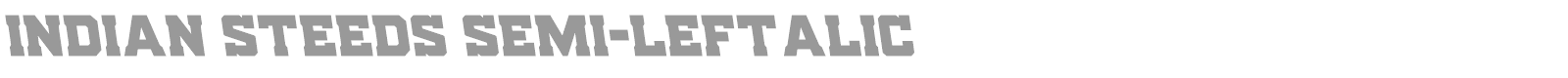 Indian Steeds font preview