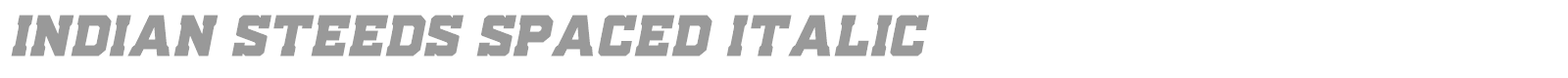 Indian Steeds font preview