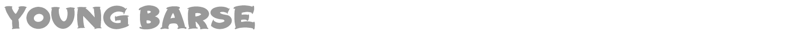 Young Barse font preview