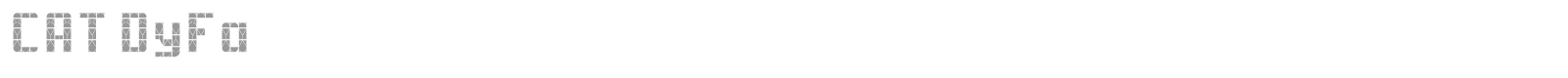 CAT DyFa font preview