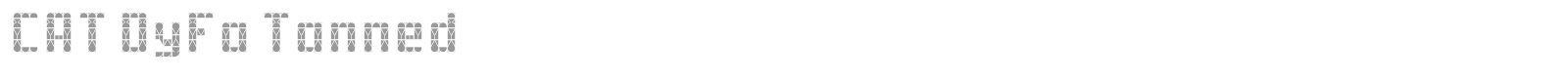 CAT DyFa font preview
