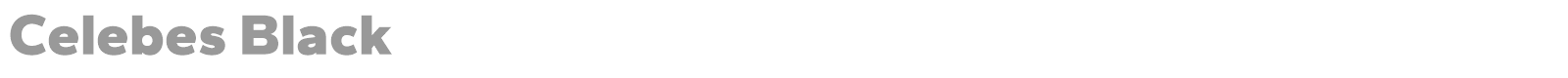 Celebes font preview