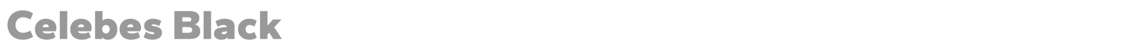 Celebes font preview