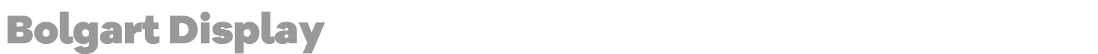 Bolgart Display font preview