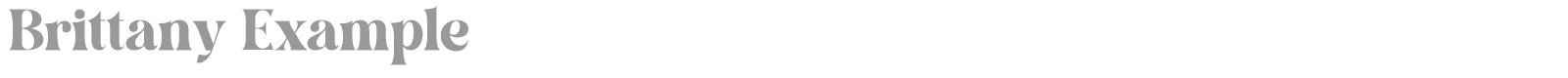 Brittany Example font preview