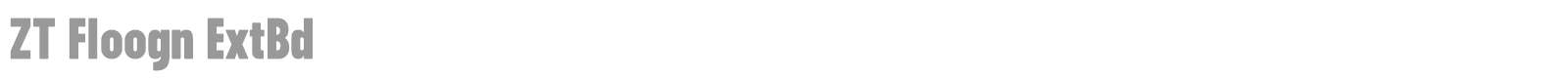 ZT Floogn font preview