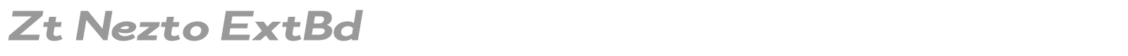 Zt Nezto font preview