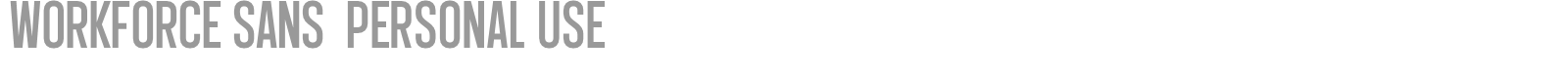 Workforce Sans font preview