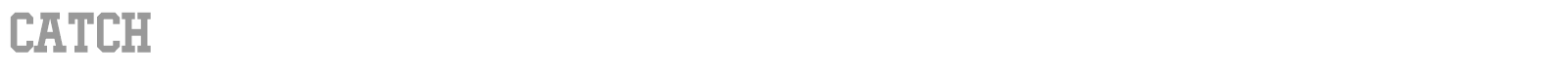 Catch font preview