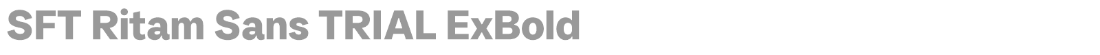 SFT Ritam Sans font preview