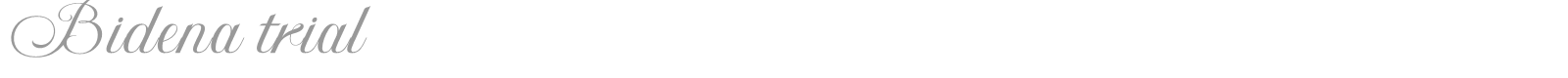 Bidena font preview