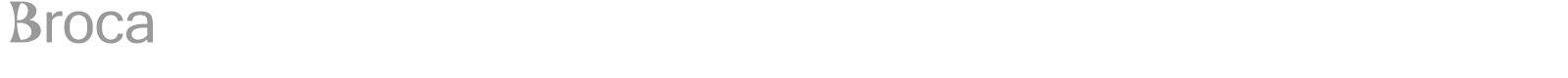 Broca font preview