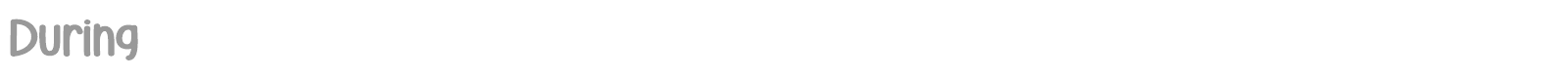During font preview