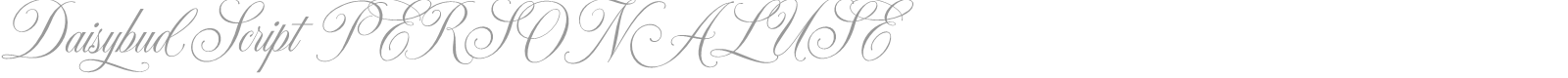 Daisybud Script font preview