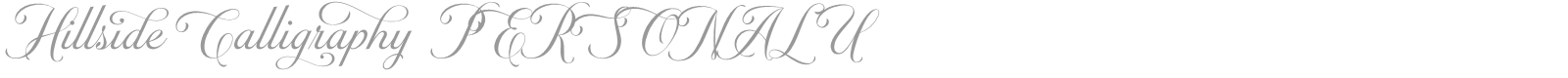 Hillside Calligraphy font preview