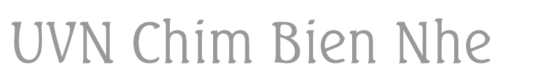 UVN Chim Bien Nhe