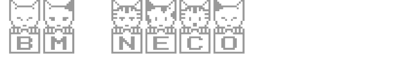 BM neco