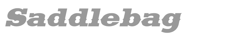 Saddlebag