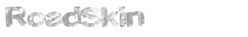 RoadSkin