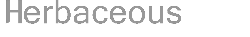 Herbaceous