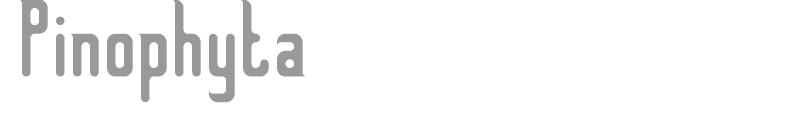 Pinophyta