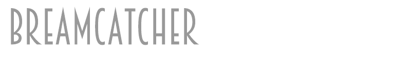 Breamcatcher