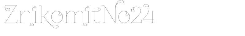ZnikomitNo24