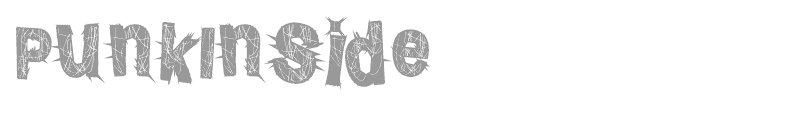 PunkInside