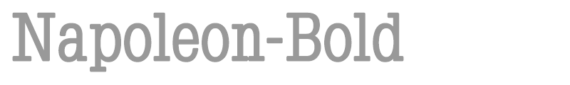 Napoleon-Light