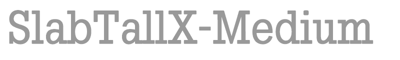 SlabTallX