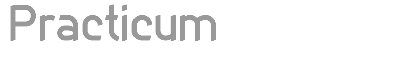 Practicum