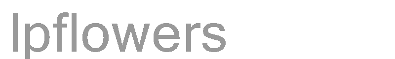 lpflowers