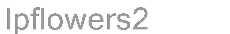 lpflowers2