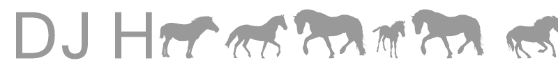 DJ Horses 1