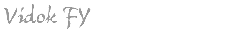 Vidok FY