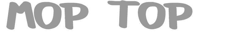 Mop Top