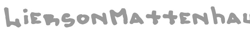 LiersonMattenhauer