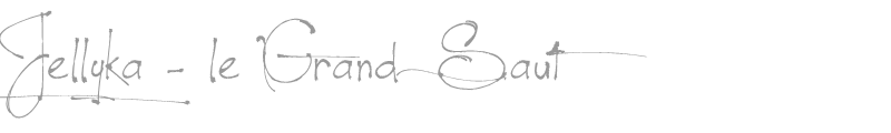 Jellyka - le Grand Saut Textual
