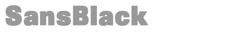 SansBlackSmall
