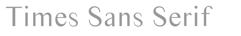 Times Sans Serif