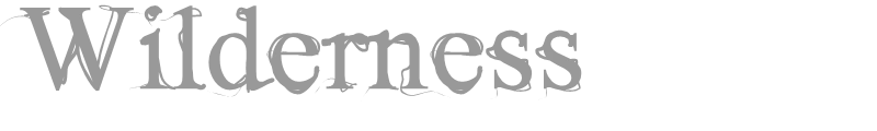 Wilderness