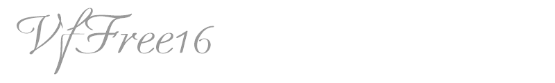 VfFree16