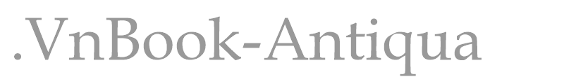 .VnBook-Antiqua